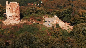 Ekocid na Fruškoj gori